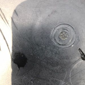 Meet your Posher, Dominick